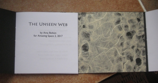 Unseen Web 2